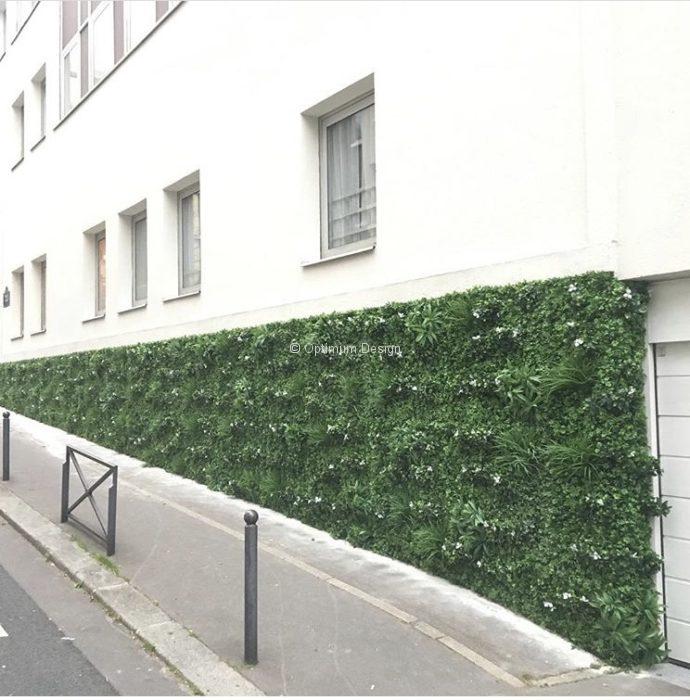 Hotel-Ambre-Paris-13-mur-vegetal-classique