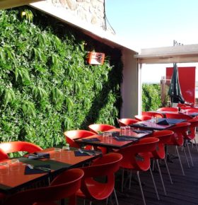 Mur végétal dans un restaurant au Mont-Saint-Michel chez la Mère Poulard