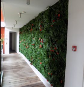 Pan de mur végétal dans un hôtel