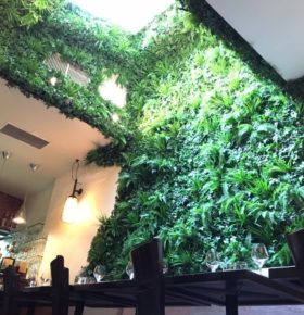 Grand mur végétal dans un restaurant avec un puits de lumière