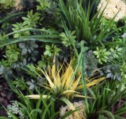 mur-vegetal-artificiel-sur-mesure