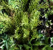 mur-vegetal-artificiel-sur-mesure-2