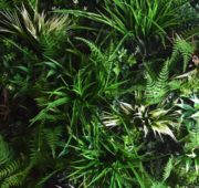 mur-vegetal-artificiel-sur-mesure-3