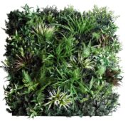 mur-vegetal-premium-6