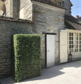 Cache climatiseur après transformation avec le buis tombant