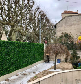 Haie artificielle dans un un jardin