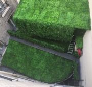 cache-climatiseur-vegetale-3