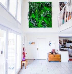 Grand cadre végétal stabilisé