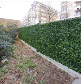 Habillage clôture en lierre d'un rez de chausée