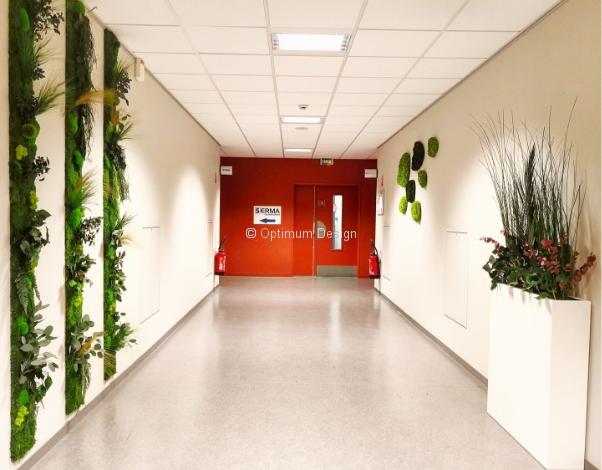 hall-accueil-entreprise-decor-vegetal-bien-etre-paris
