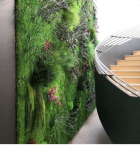 Mur végétal dans le hall d'une entreprise