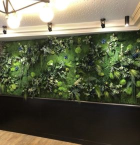 Mur végétal dans une brasserie