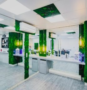 Création d'un mur végétal dans un salon de coiffure
