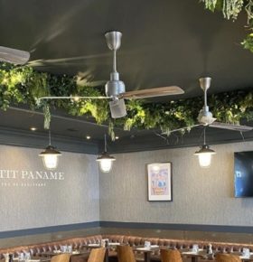 Décoration végétale dans un bistro