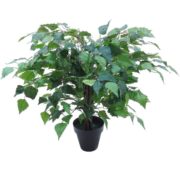 Mini Bouleau vert 50 cm