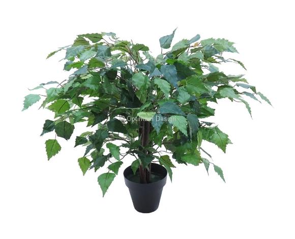 Mini Bouleau vert 50 cm