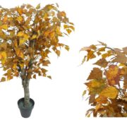 Bouleau Automne marron