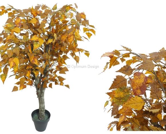 Bouleau Automne marron