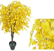 Bouleau betula jaune
