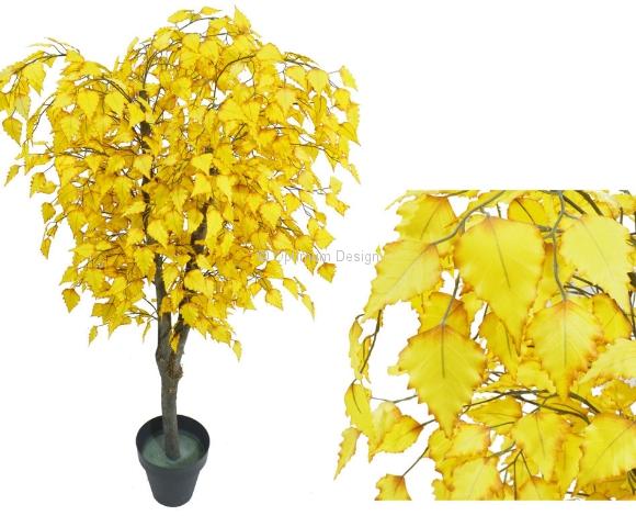 Bouleau betula jaune