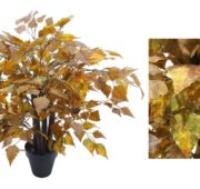 Bouleau mini Automne marron 50 cm