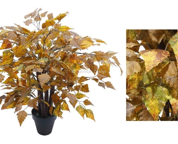 Bouleau mini Automne marron 50 cm