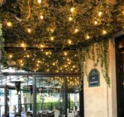 brasserie-parisienne-decoration-vegetale1