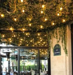 Décoration florale dans une brasserie Parisienne