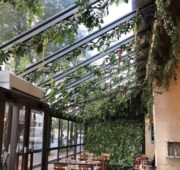decoration-vegetale-brasserie-optimum-design