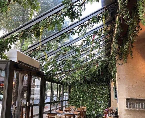 decoration-vegetale-brasserie-optimum-design