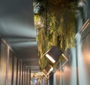 decoration-vegetale-plafond