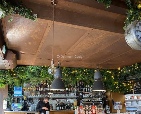 decoration-vegetale-salle-optimum-design1