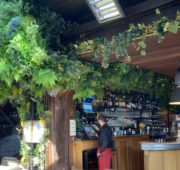 decoration-vegetale-salle-optimum-design2