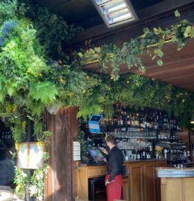 Décoration végétale dans un restaurant le plomb du cantal