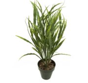 Herbe en  pot 45 cm