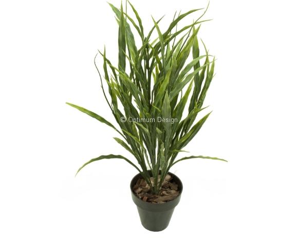 Herbe en  pot 45 cm