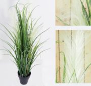 Herbe Rio Vede 90 cm