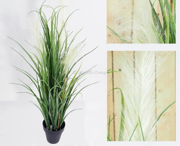 Herbe Rio Vede 90 cm