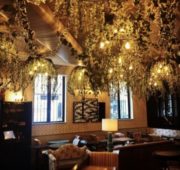 lustre-vegetal-restaurant -le-grill-room-paris