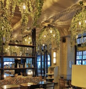 Lustre végétal dans un restaurant