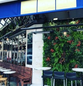 Mur végétal sur la terrasse d'une brasserie chez Odette