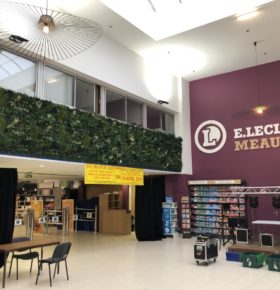 mur végétal dans un centre commercial