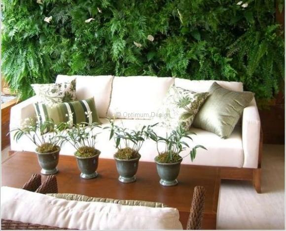 mur-vegetal-sur-mesure-optimum-design