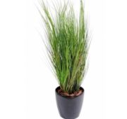 Graminée onion grass 105 cm