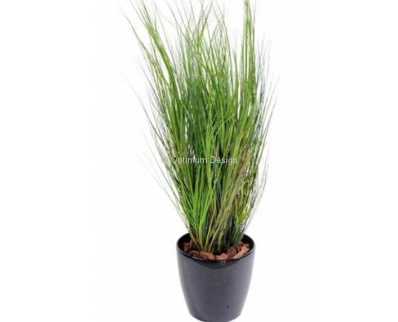 Graminée onion grass 105 cm