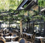 pub-decoration-vegetale-boulogne