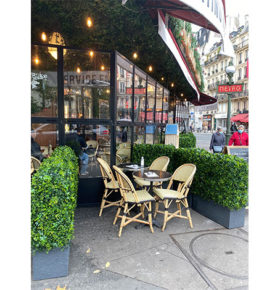Jardinières artificielles à la terrasse du restaurant Cadran Voltaire à Paris