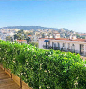 Terrasse avec des haies artificielles
