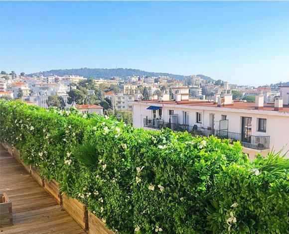 Terrasse avec des haies artificielles