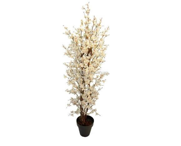Amandier crème 80, 120, 180 cm